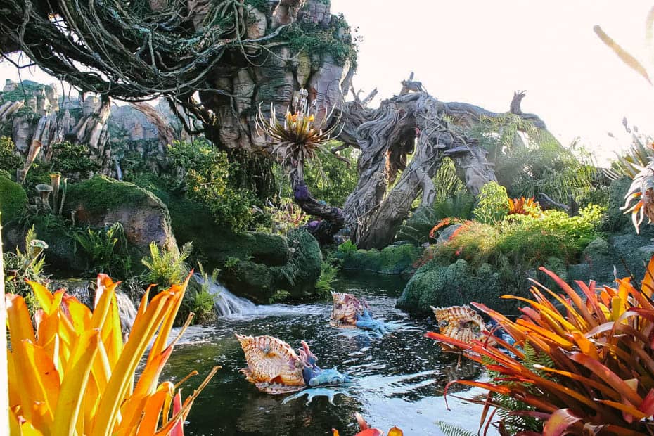 Pandora, the World of Avatar at Disney's Animal Kingdom