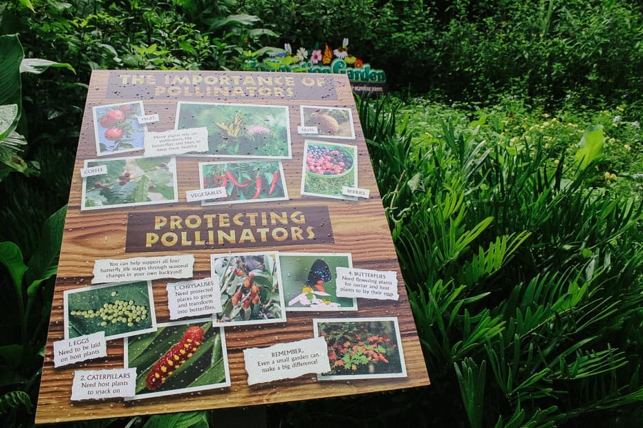 the sign reads the The Importance of Pollinators and Protecting Pollinators. It gives facts. 