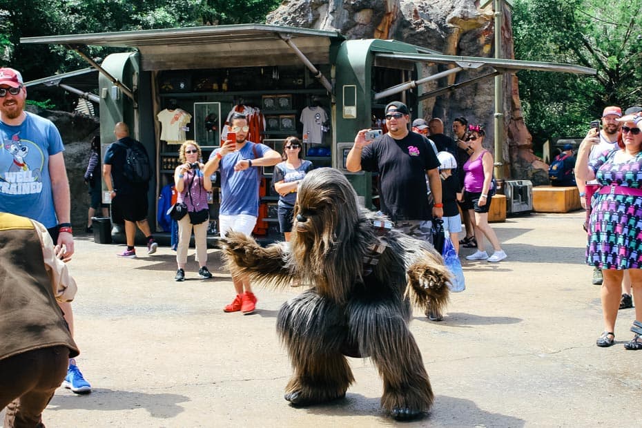 Chewbacca with guests in Galaxy's Edge 