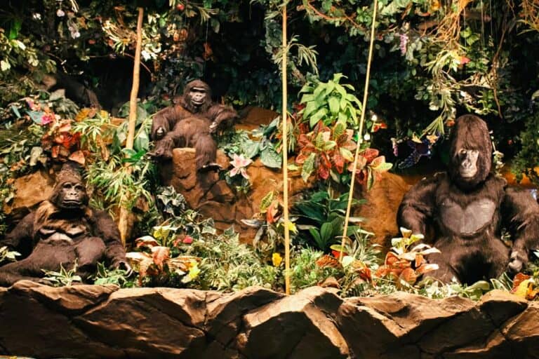 Review: Rainforest Cafe at Disney Springs – Resorts Gal