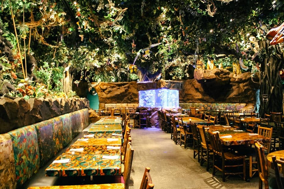 Review: Rainforest Cafe at Disney Springs