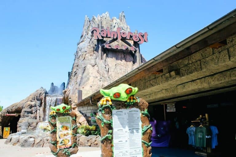 Review: Rainforest Cafe at Disney Springs – Resorts Gal