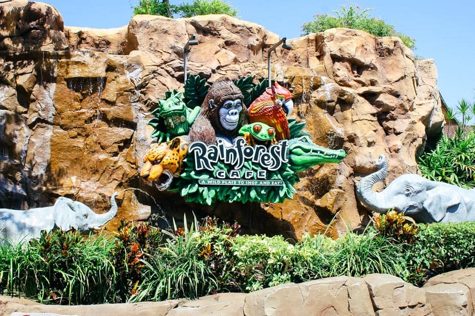 Review: Rainforest Cafe at Disney Springs – Resorts Gal