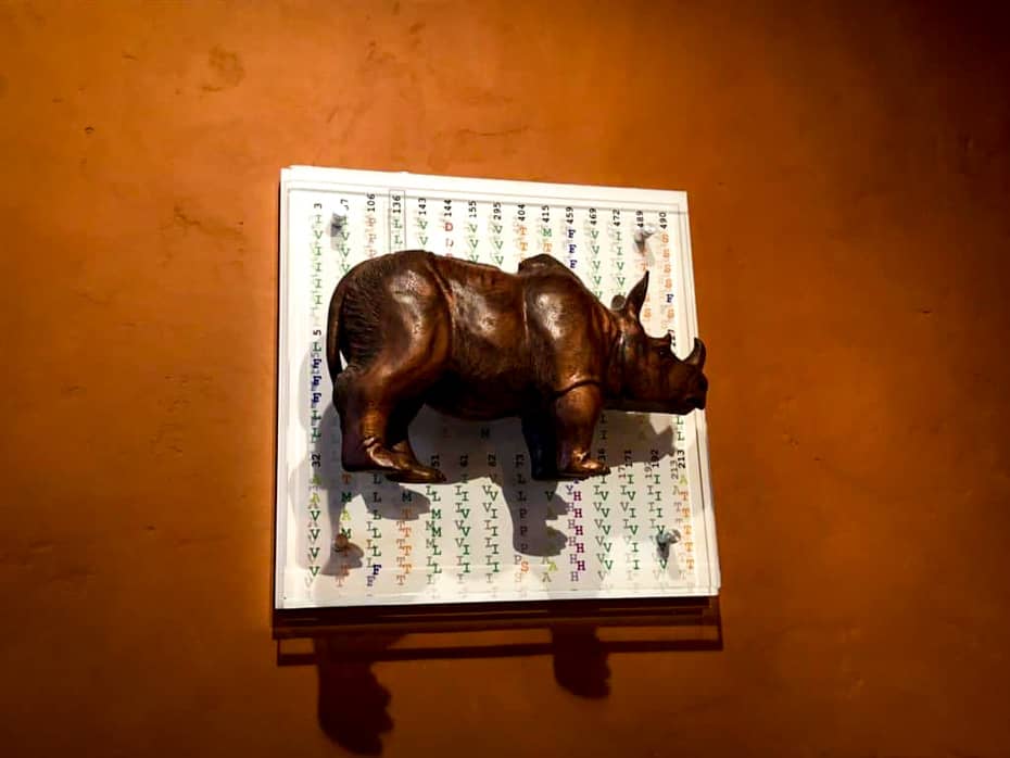a unique piece of artwork with a rhinoceros sculpture 