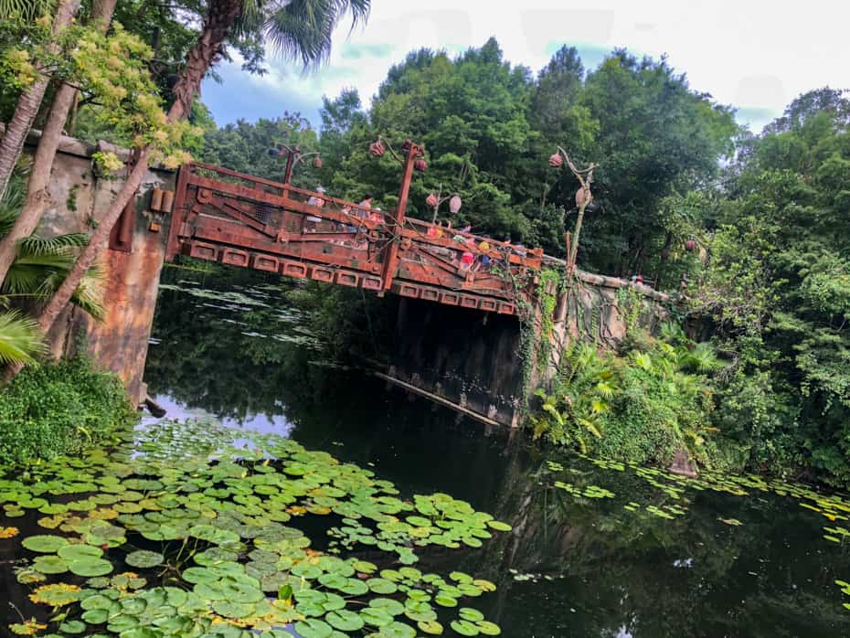bridge between Tiffins Restaurant to Pandora, World of Avatar at Disney's Animal Kingdom