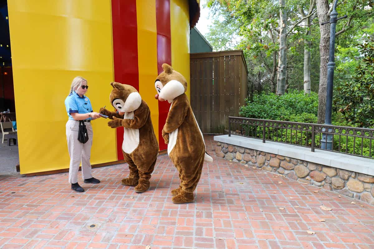 Meet Chip And Dale At Disney World