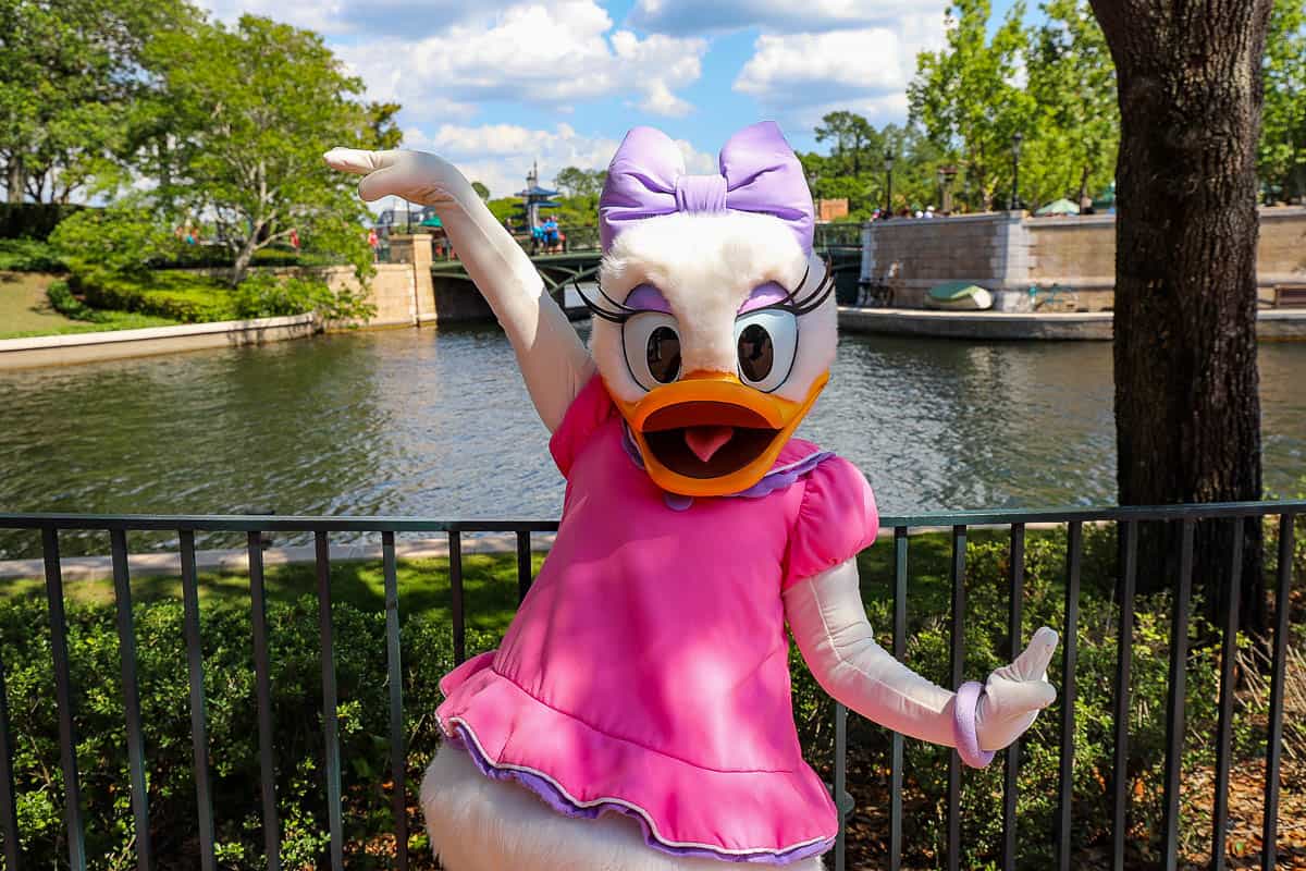 Daisy Duck with hands in the air pose. 