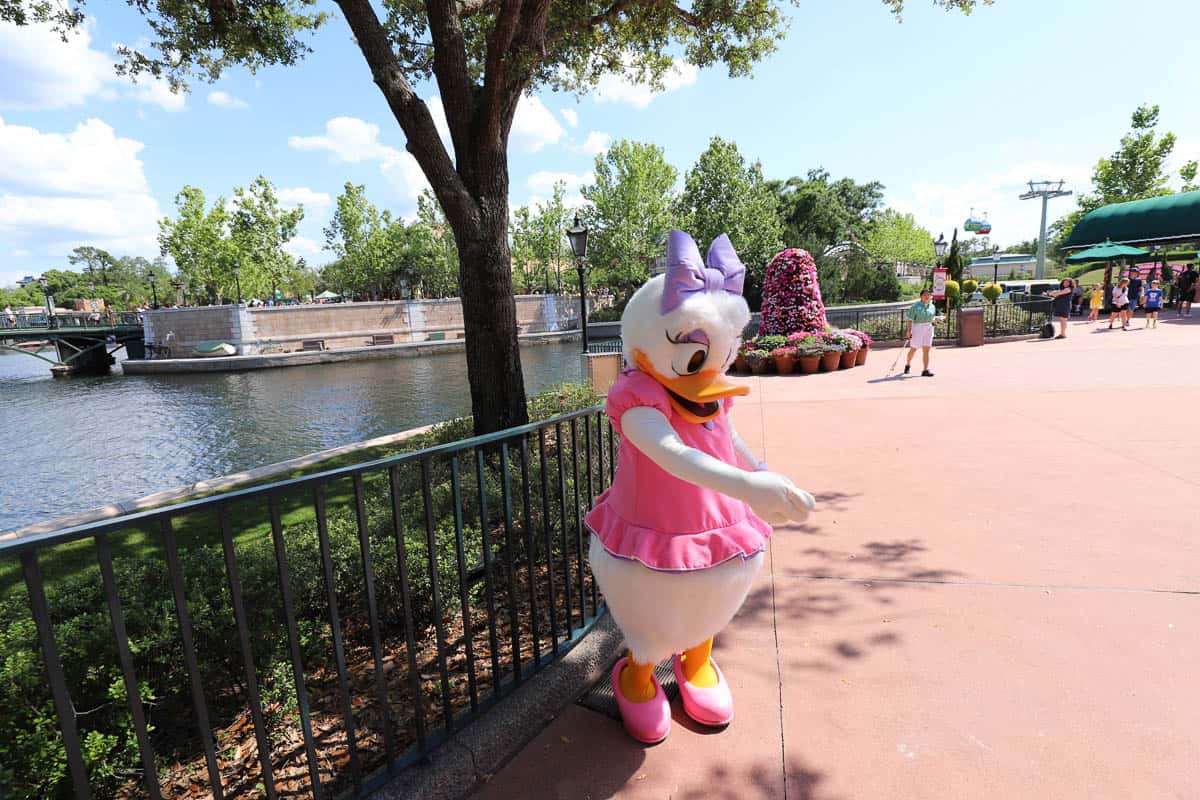 Daisy Duck in pink dress with purple bow