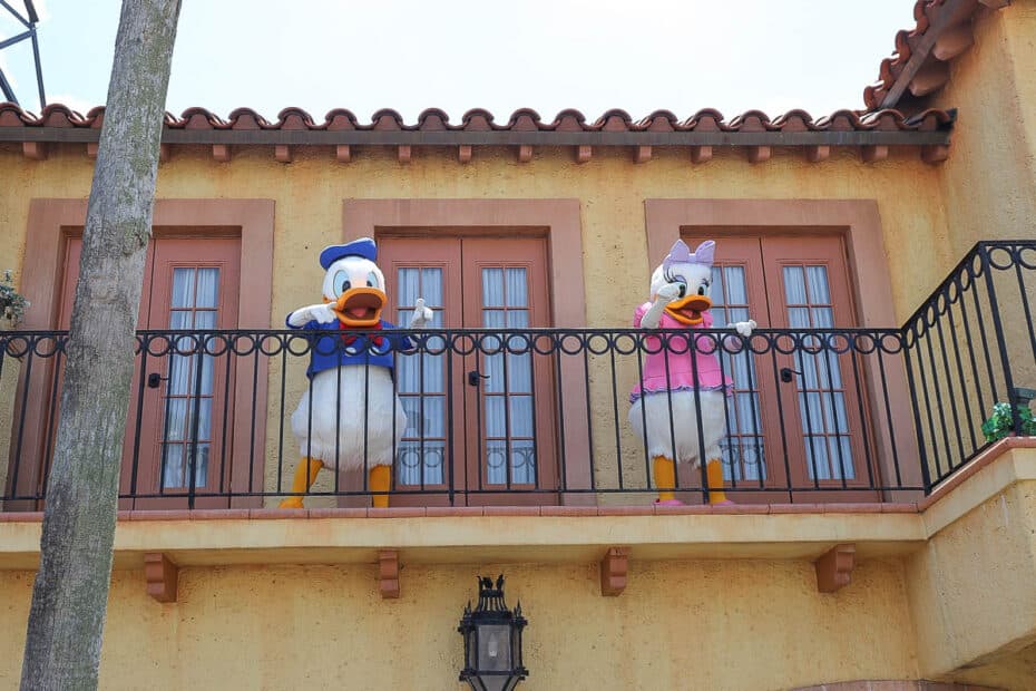 Meet Donald and Daisy Duck at Disney World