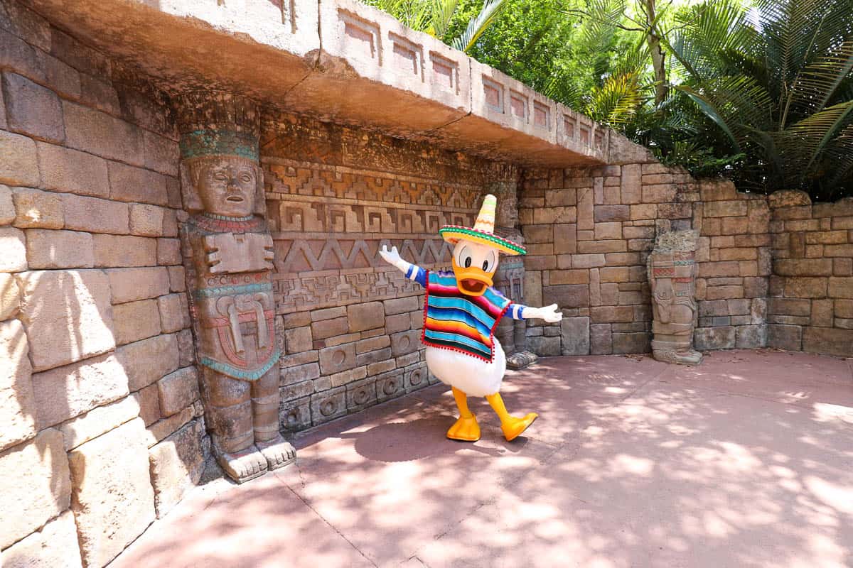Donald poses for a photo in his sombrero at Epcot. 