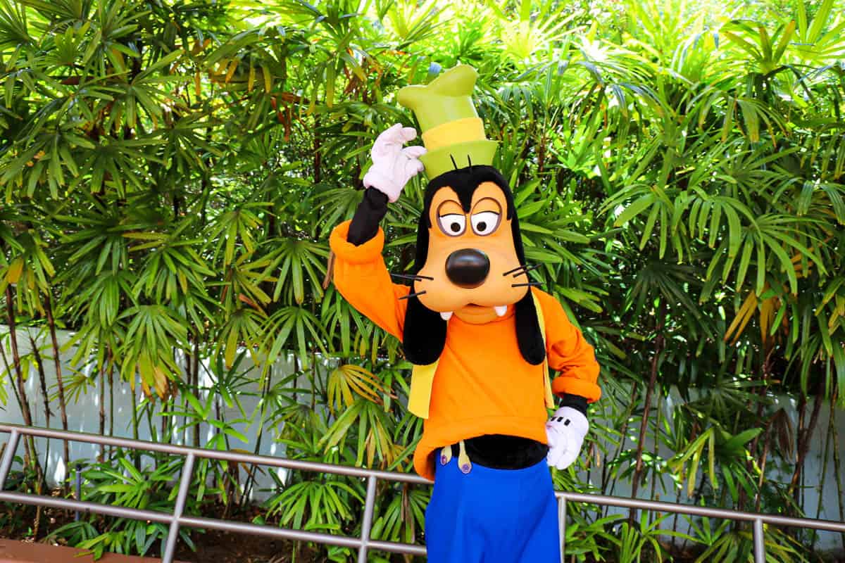 Meet Goofy Near Epcot’s Entrance (Disney Pals Meet)