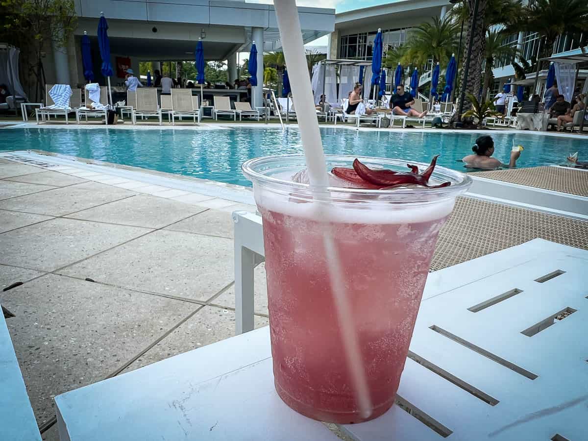 a Hisbiscus-Rita at Palm Cove Pool 