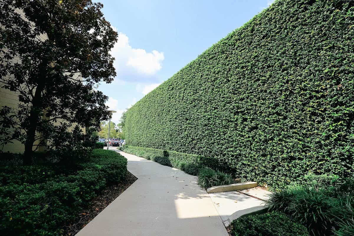 a wall covered in greenery that leads to the parking lot of the Garden Wing at the Contemporary 