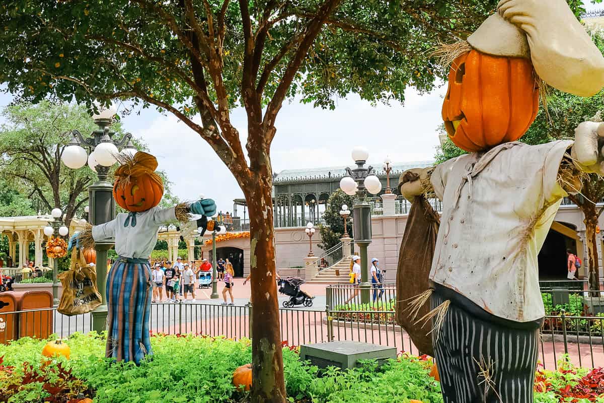 a baker and cast member scare crow 