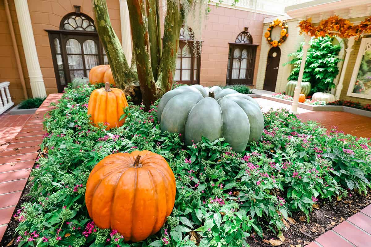 a large green pumpkin mixed with orange ones 