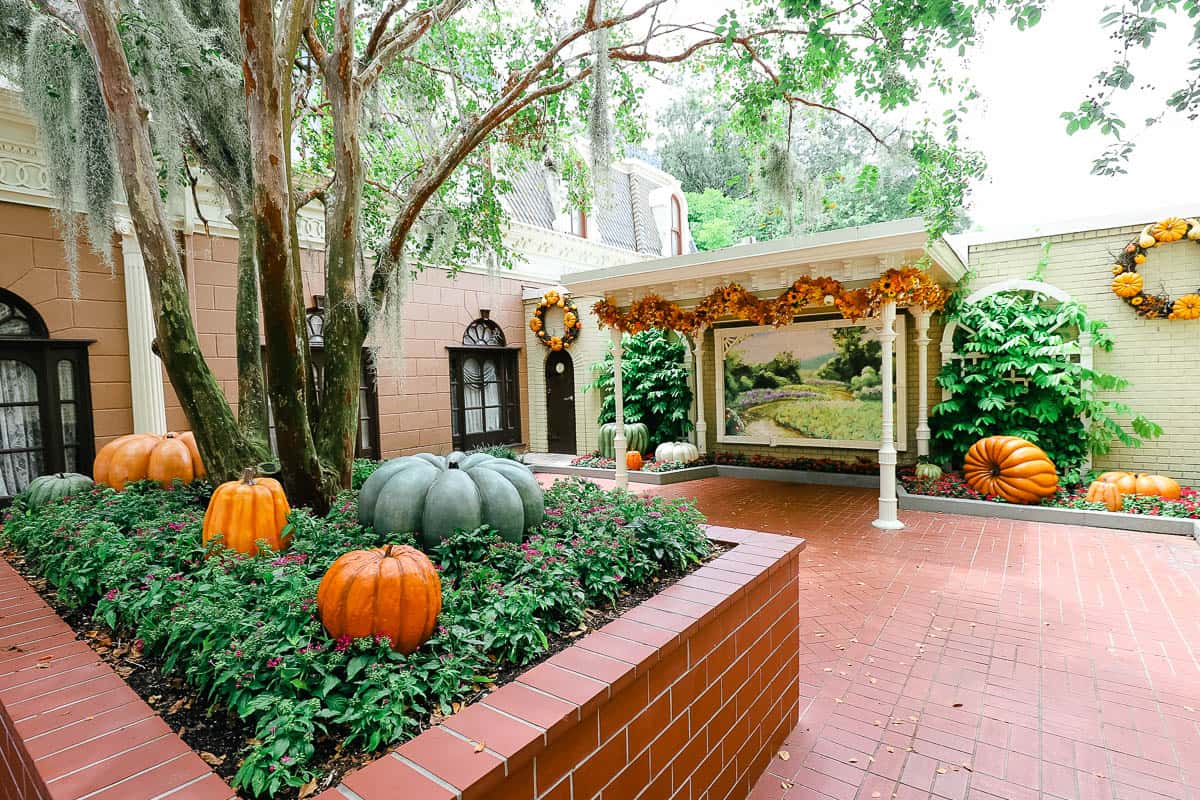 an area with various shaped  pumpkins for Halloween at Disney World 