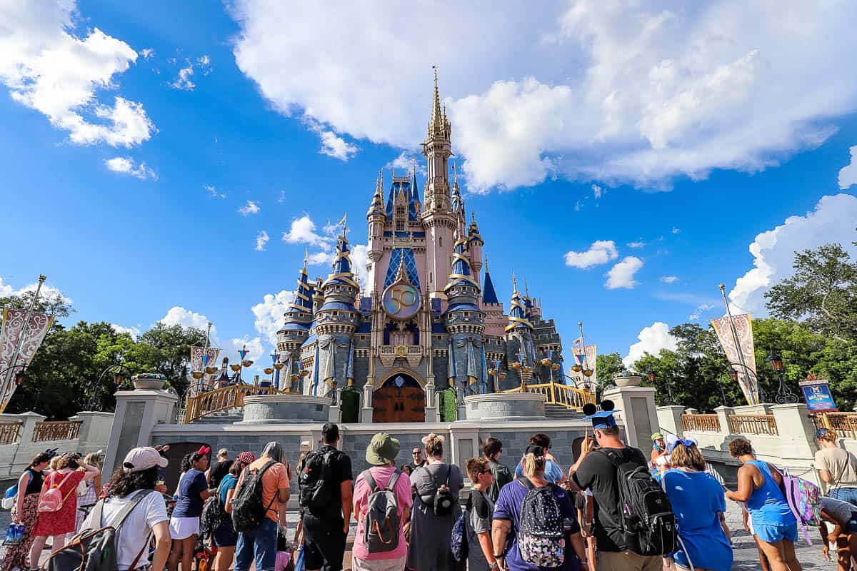 a group of guests waiting to see the castle stage show at Magic Kingdom 