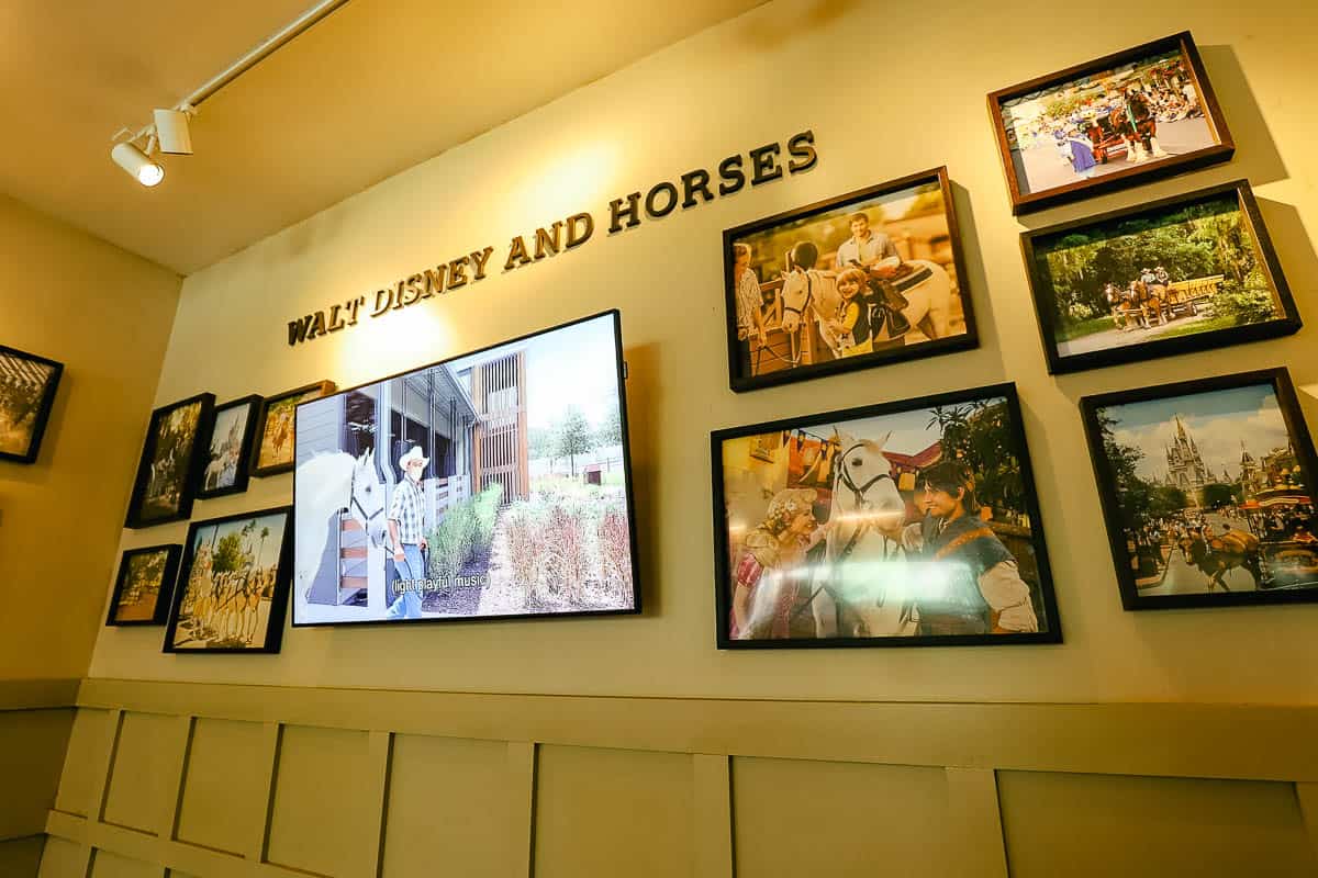 a wall with pictures that says Walt Disney and Horses 