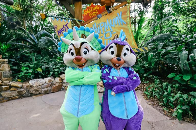 Where to Meet Chip and Dale at Disney World