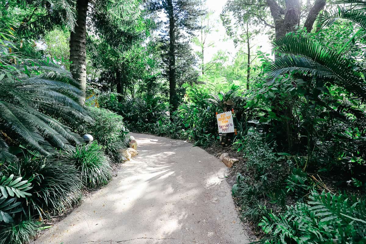 the almost hidden path to meet Chip and Dale 