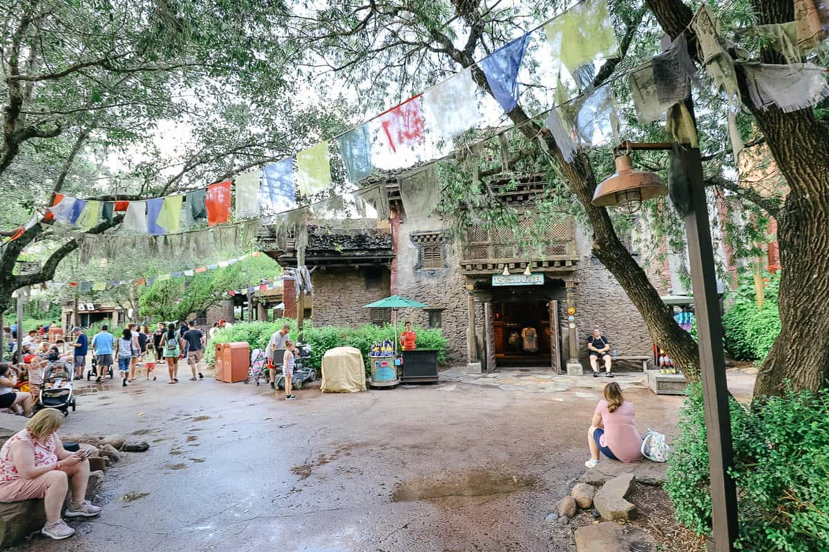 a waiting area for guests not riding Expedition Everest 