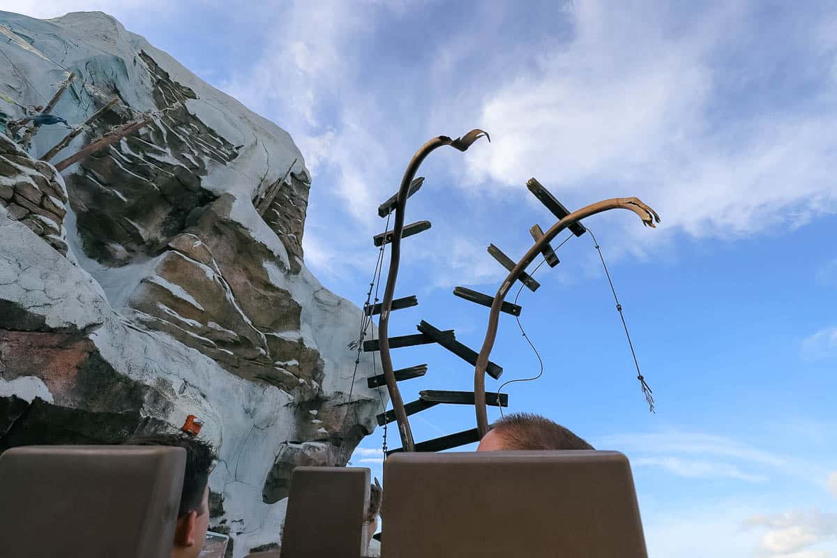 the track extends into midair and looks like it's been broken on Expedition Everest at Disney's Animal Kingdom