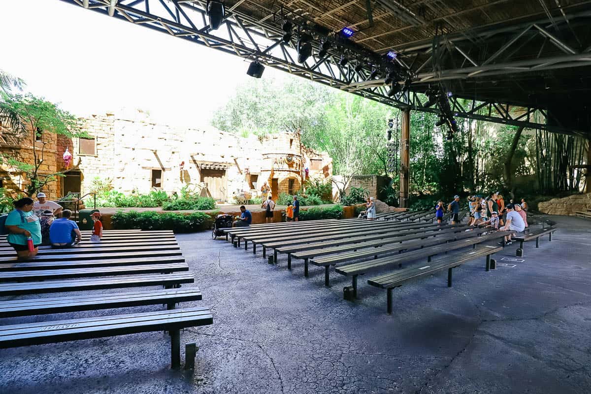 the bench style seating in front of the stage at Feathered Friends in Flight!