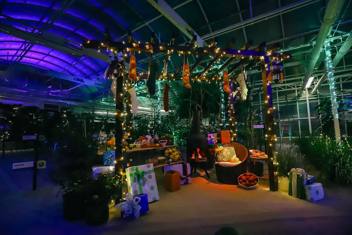 Take a Spin on Epcot's Glimmering Greenhouses (A Holiday Overlay on ...