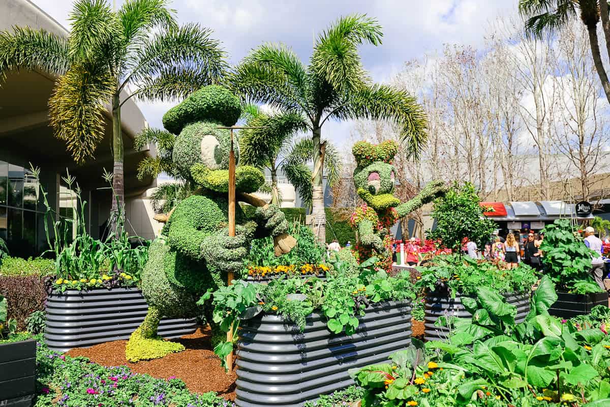 Donald and Daisy Duck in the Community Garden Topiary 