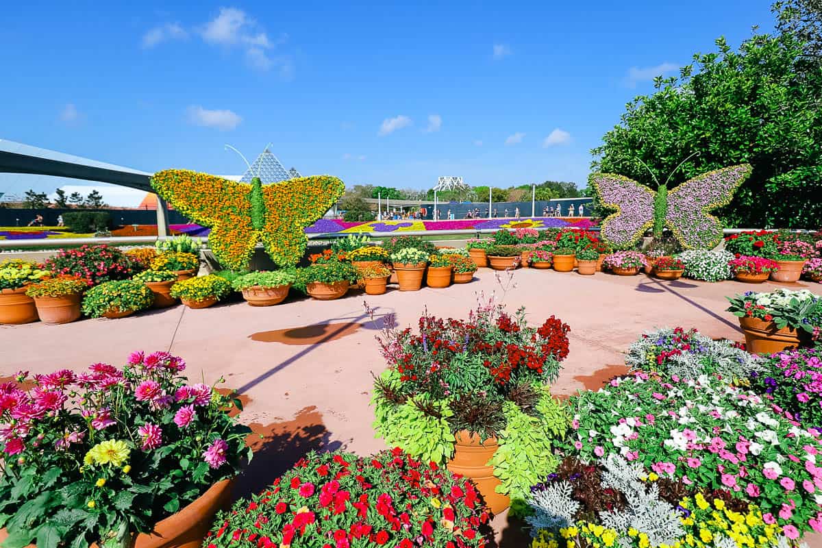 giant butterflies made of topiaries surrounded by potted flowers 