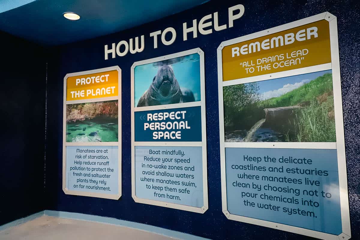 how to help manatees informational signage at Epcot 