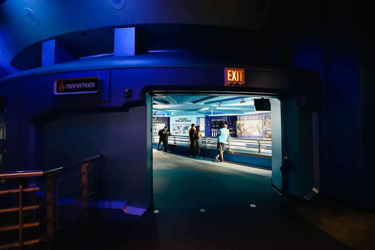 guests in the manatee viewing area 