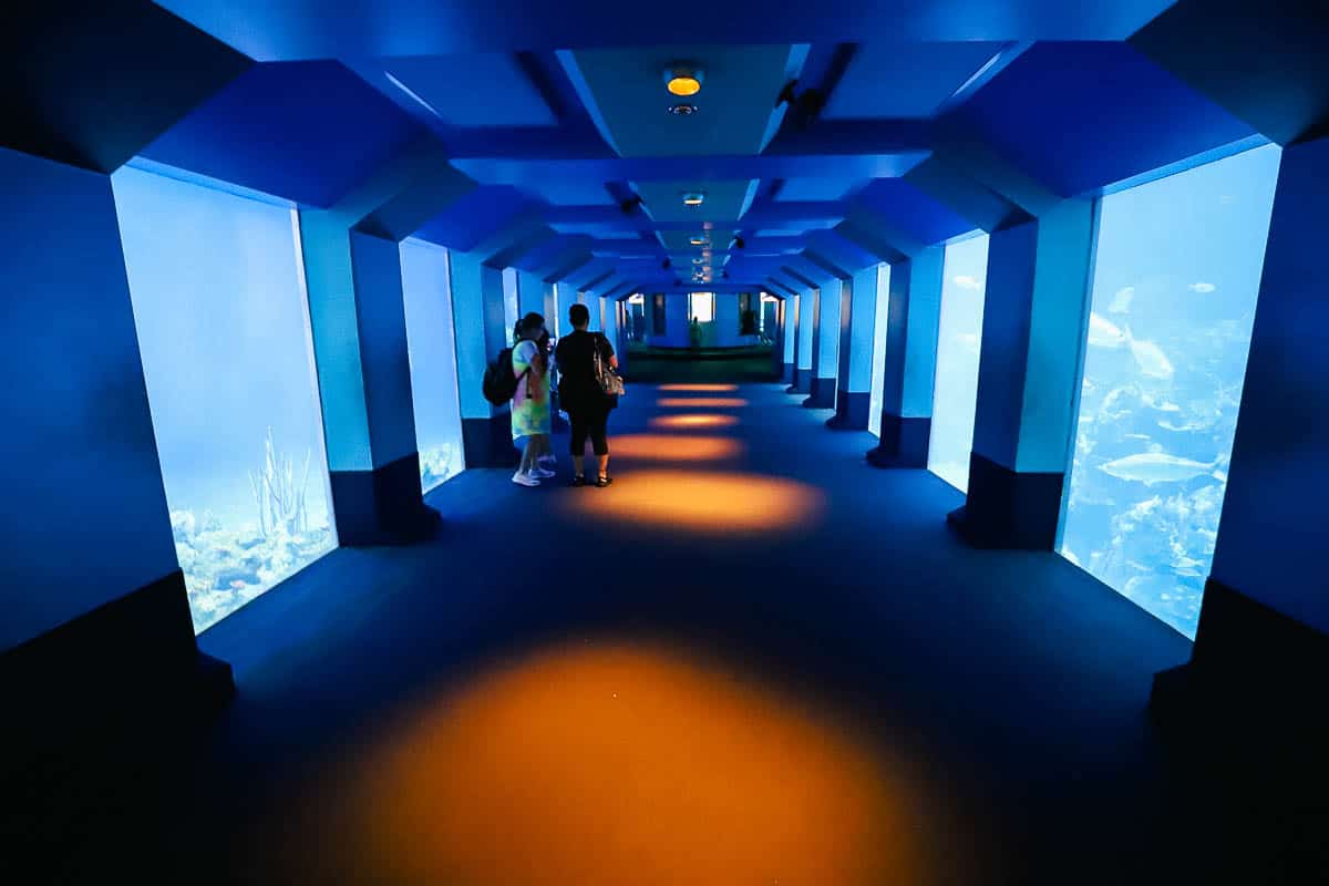 extended aquarium 