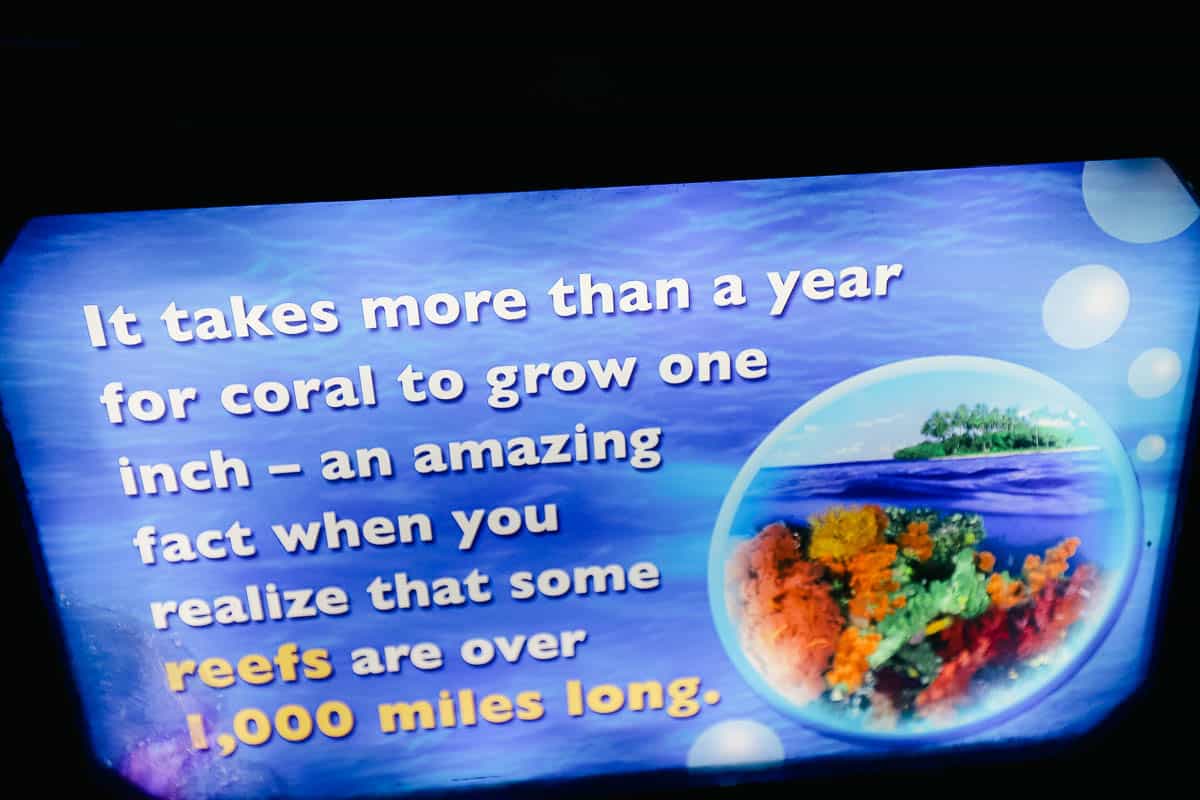 coral growth informational signage 