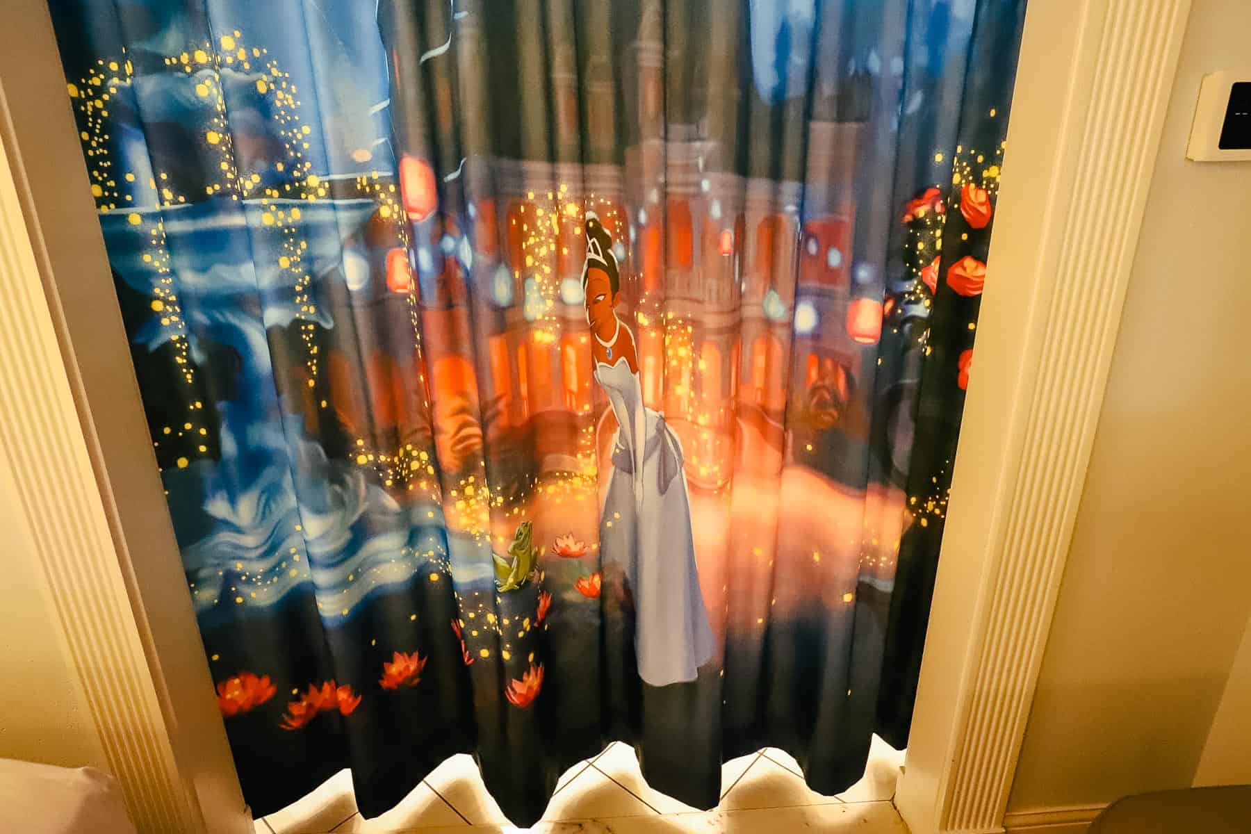a curtain that serves as a room divider with Tiana as a Princess and Naveen as a frog 