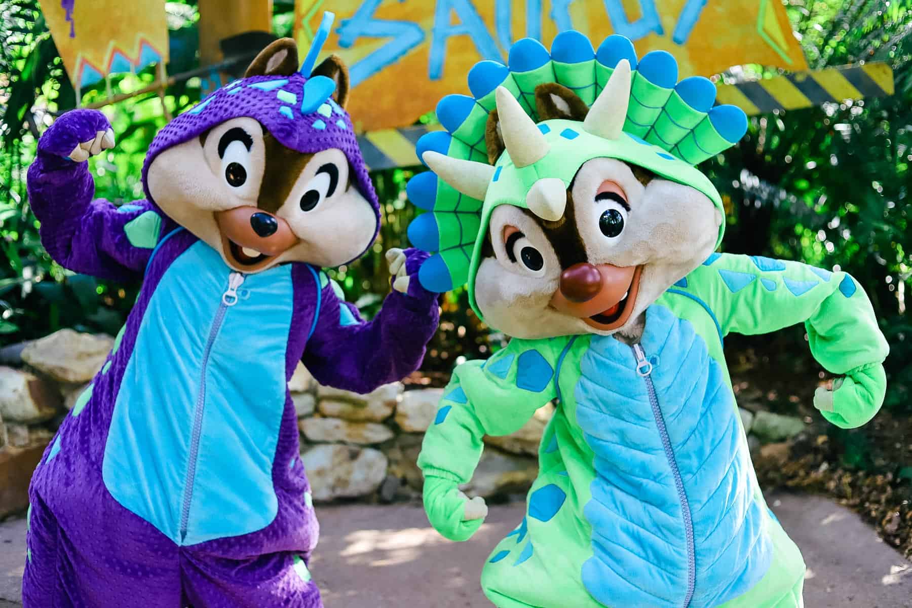 Characters at Disney's Animal Kingdom List of MeetandGreet