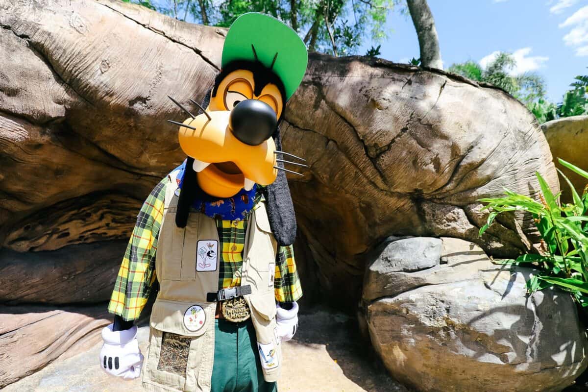 Goofy from Camp Minnie-Mickey