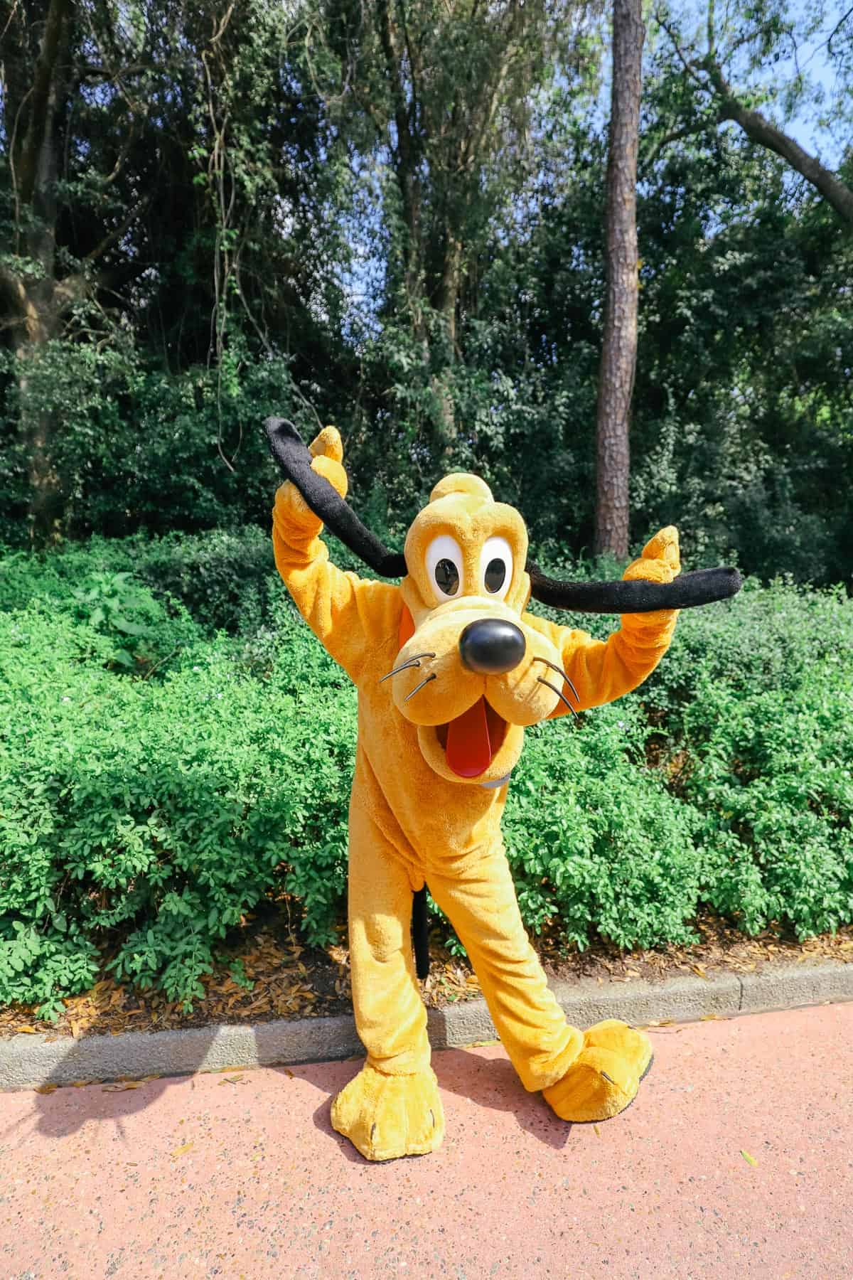 Pluto at Epcot 