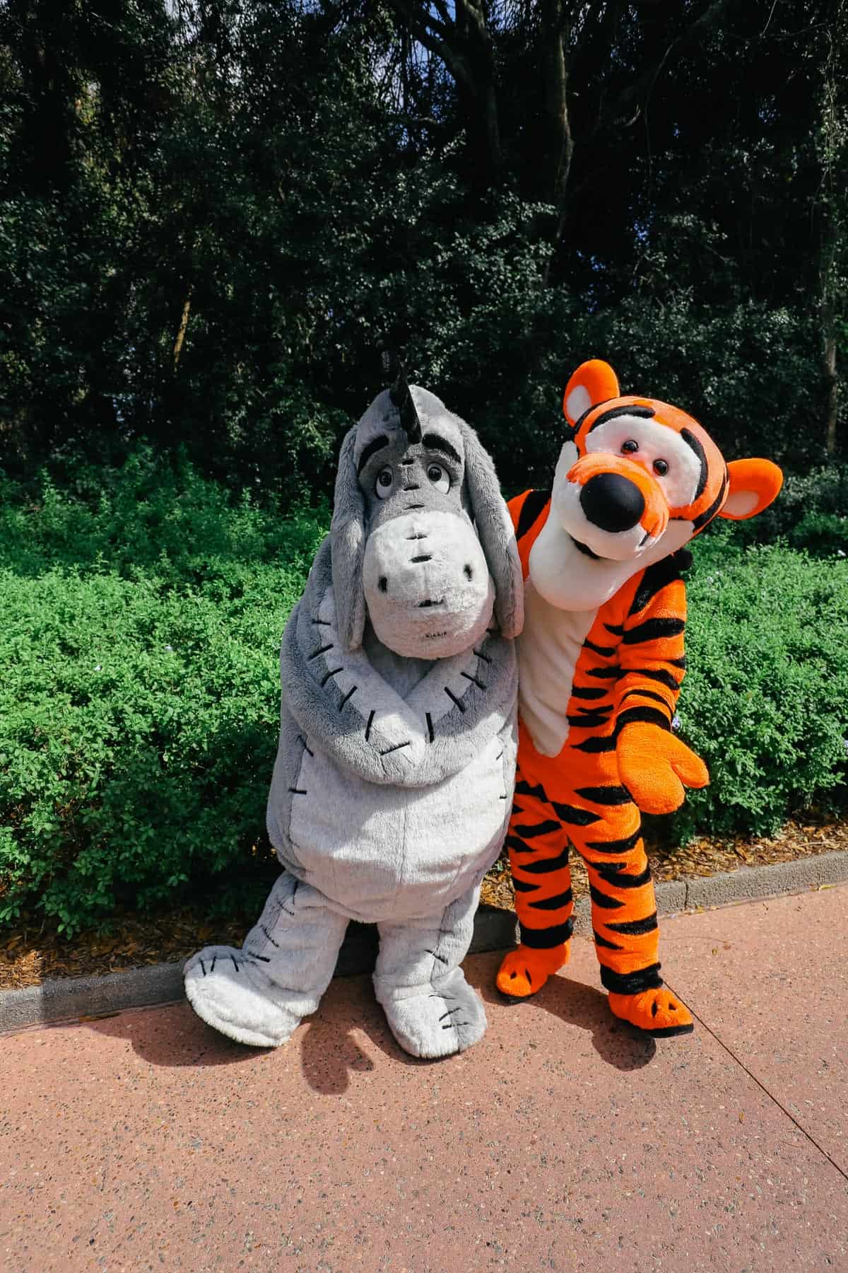 Eeyore and Tigger pose for a photo at Epcot's Character Training 