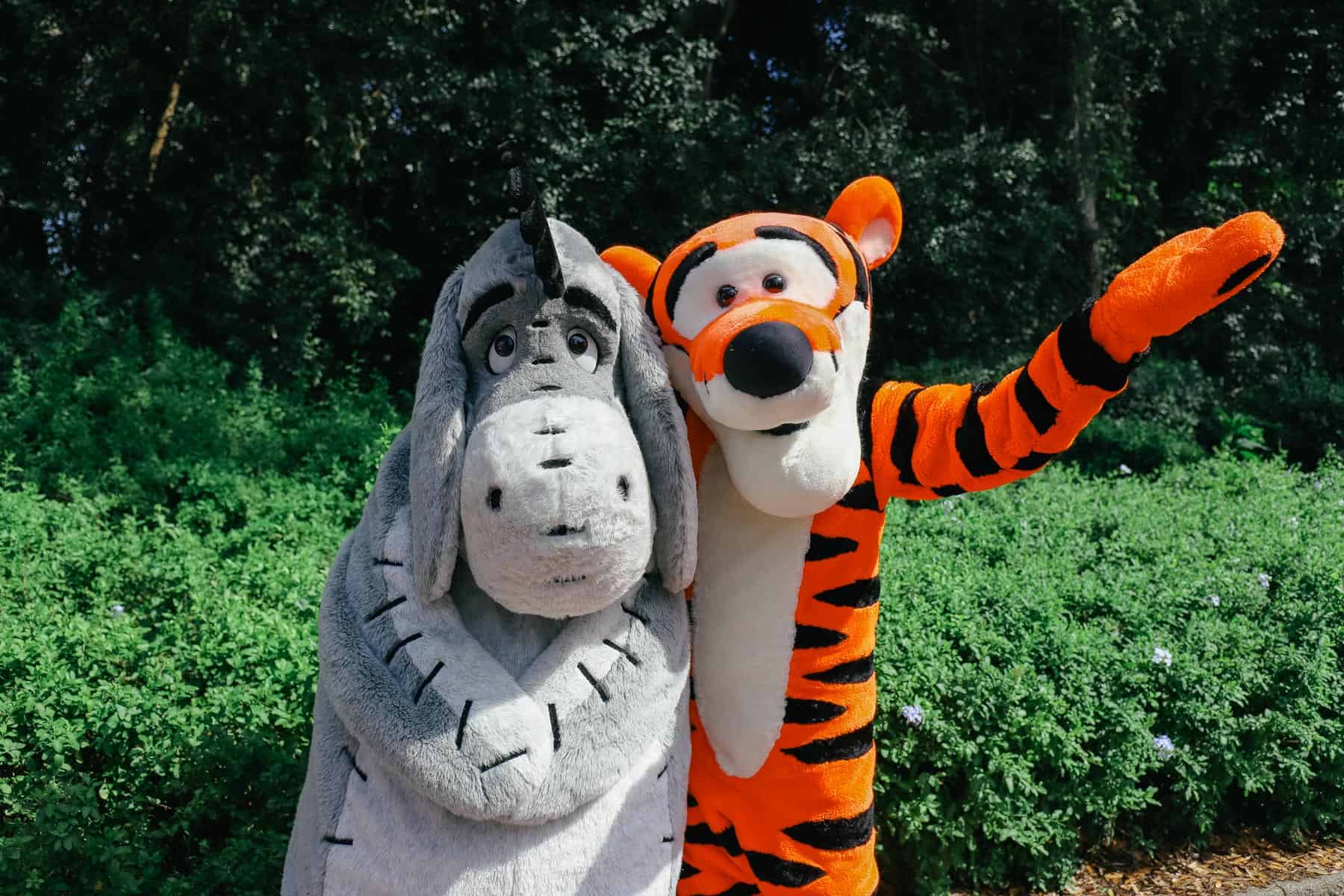 Winnie the Pooh and Tigger at a surprise character training pop up at Epcot 