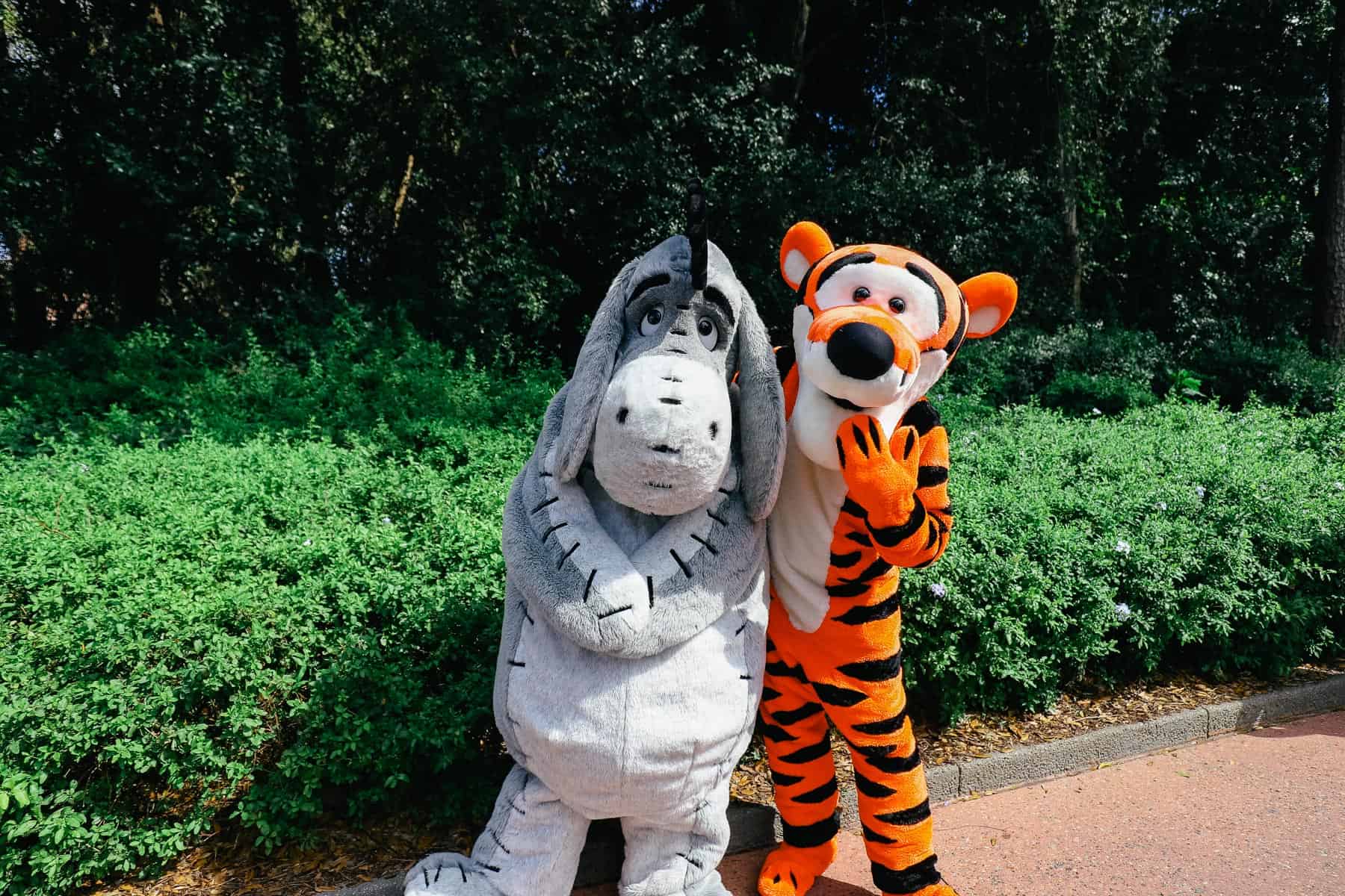 Tigger and Eeyore 