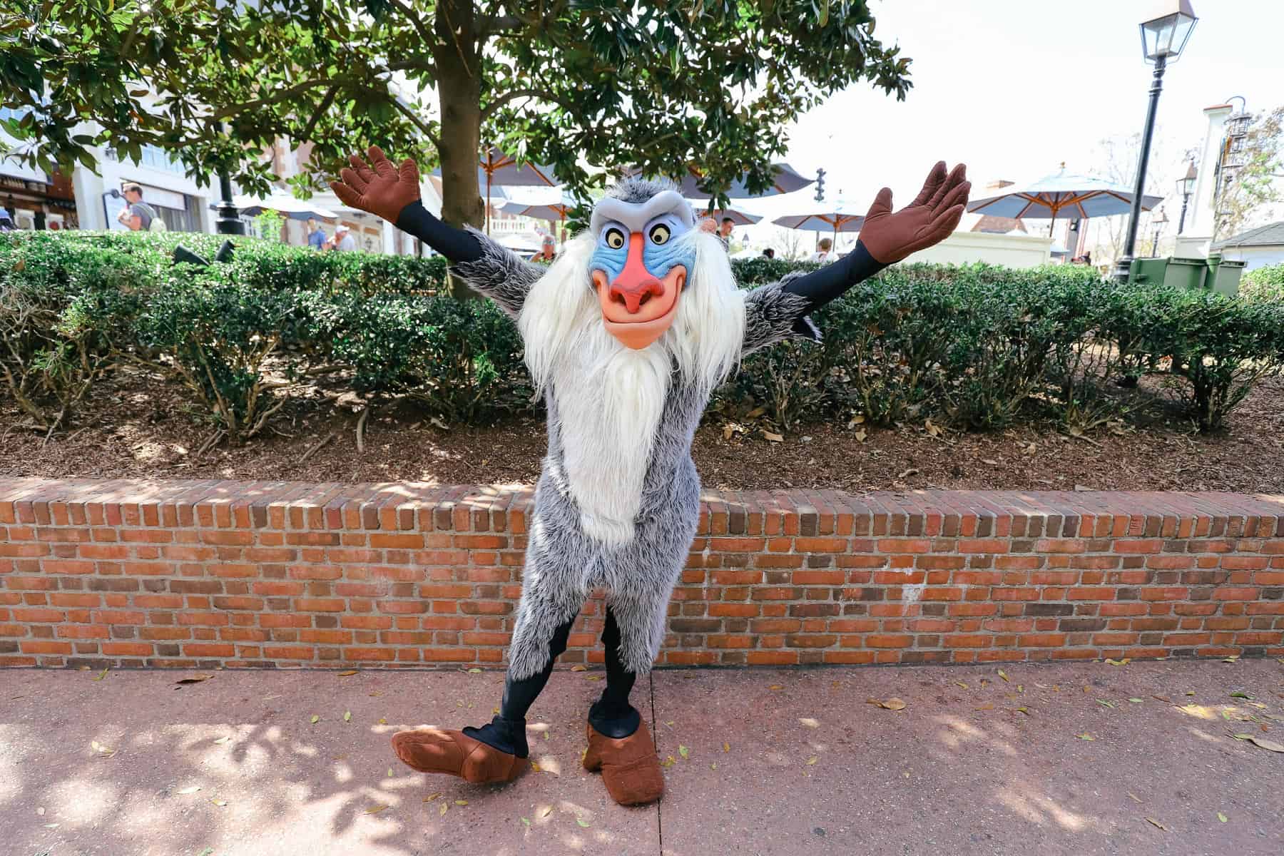 Rafiki at a surprise character meet and greet at Epcot 