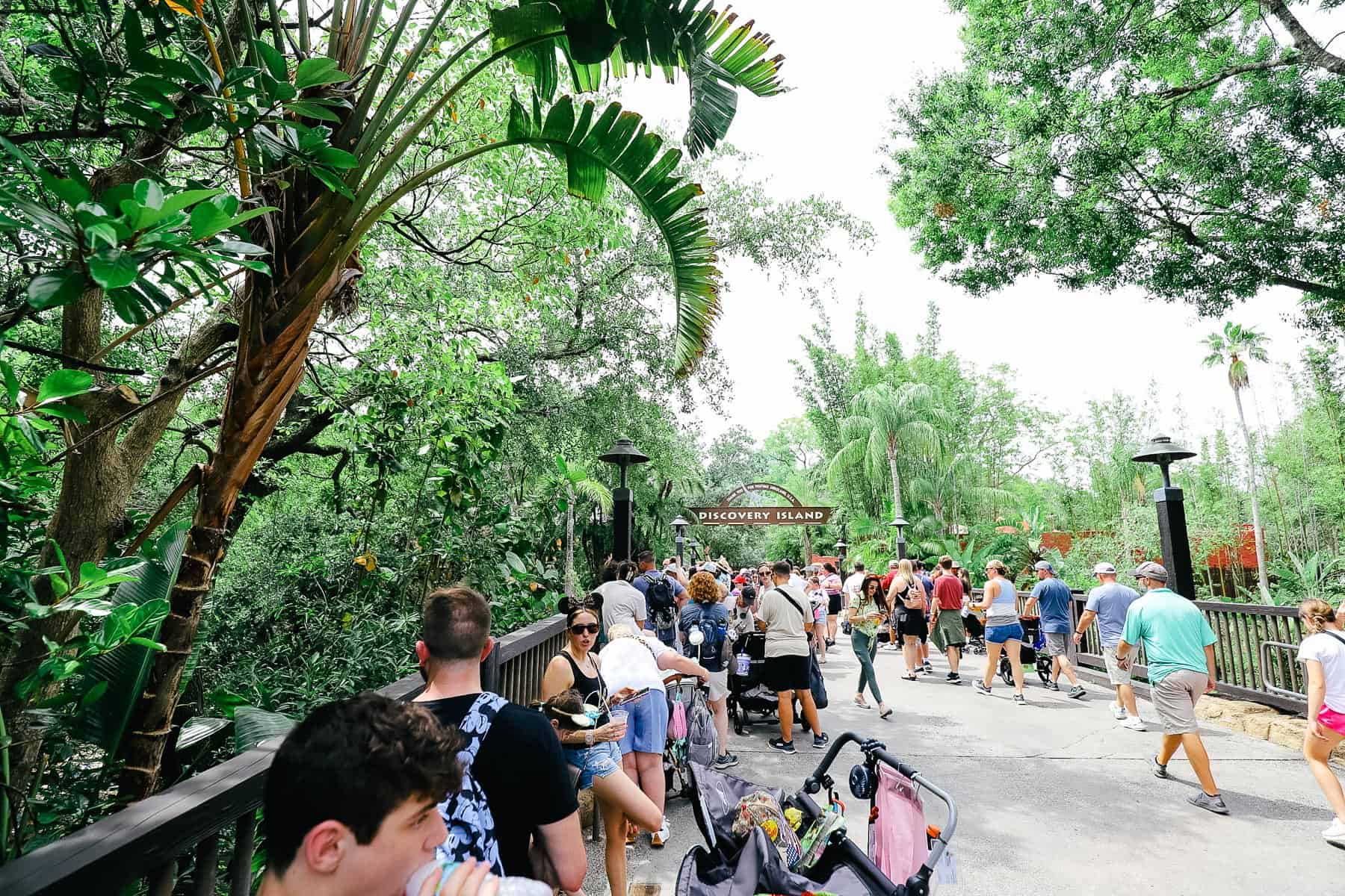 guests lined up across the bridge to meet Moana 