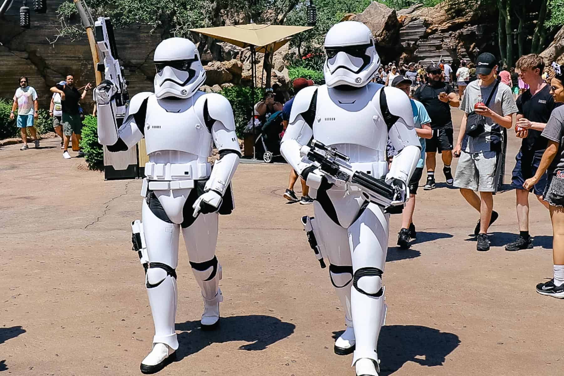 Star Wars Characters at Disney World (Where to Find Them)