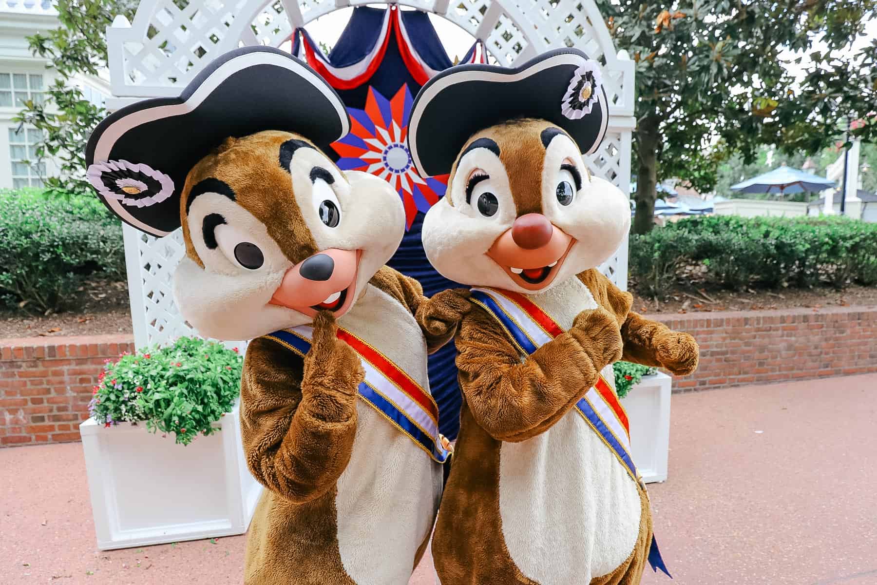Chip and Dale in their patriotic best for the 4th of July 