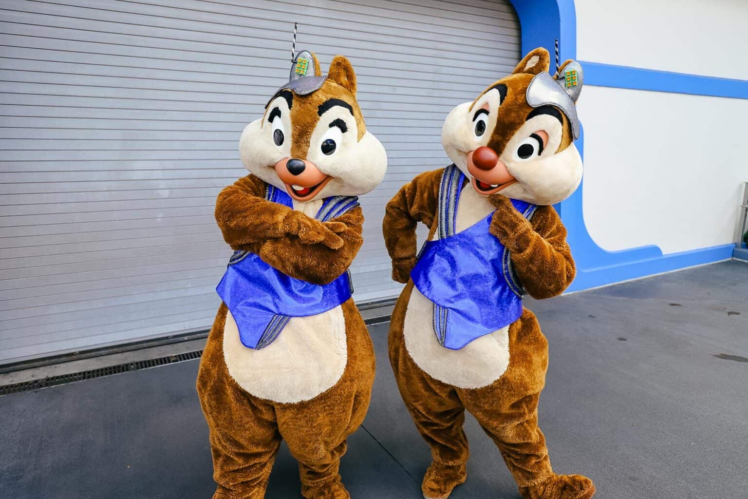 Where to Meet Chip and Dale at Disney World