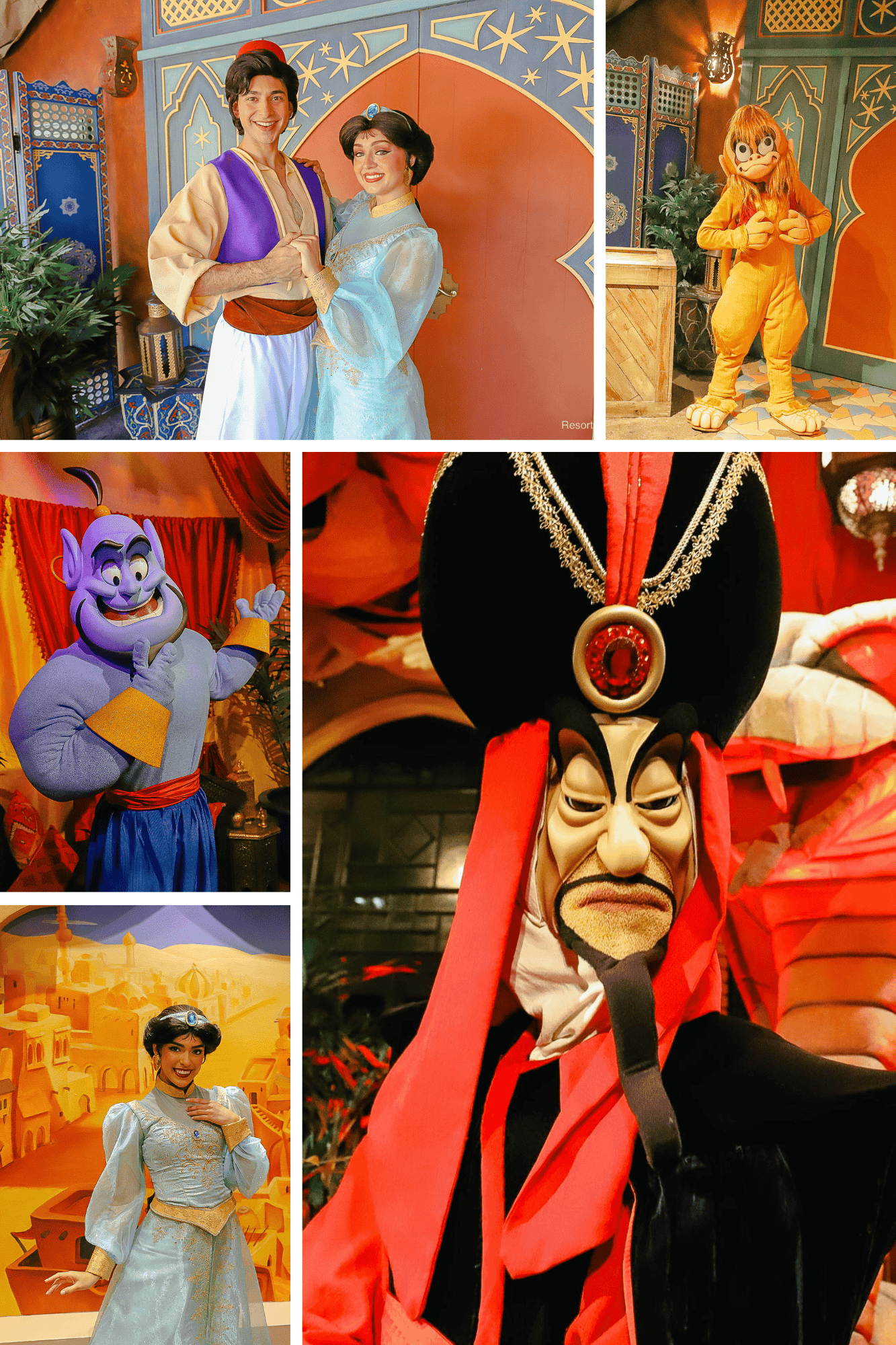 Aladdin Character Collage 