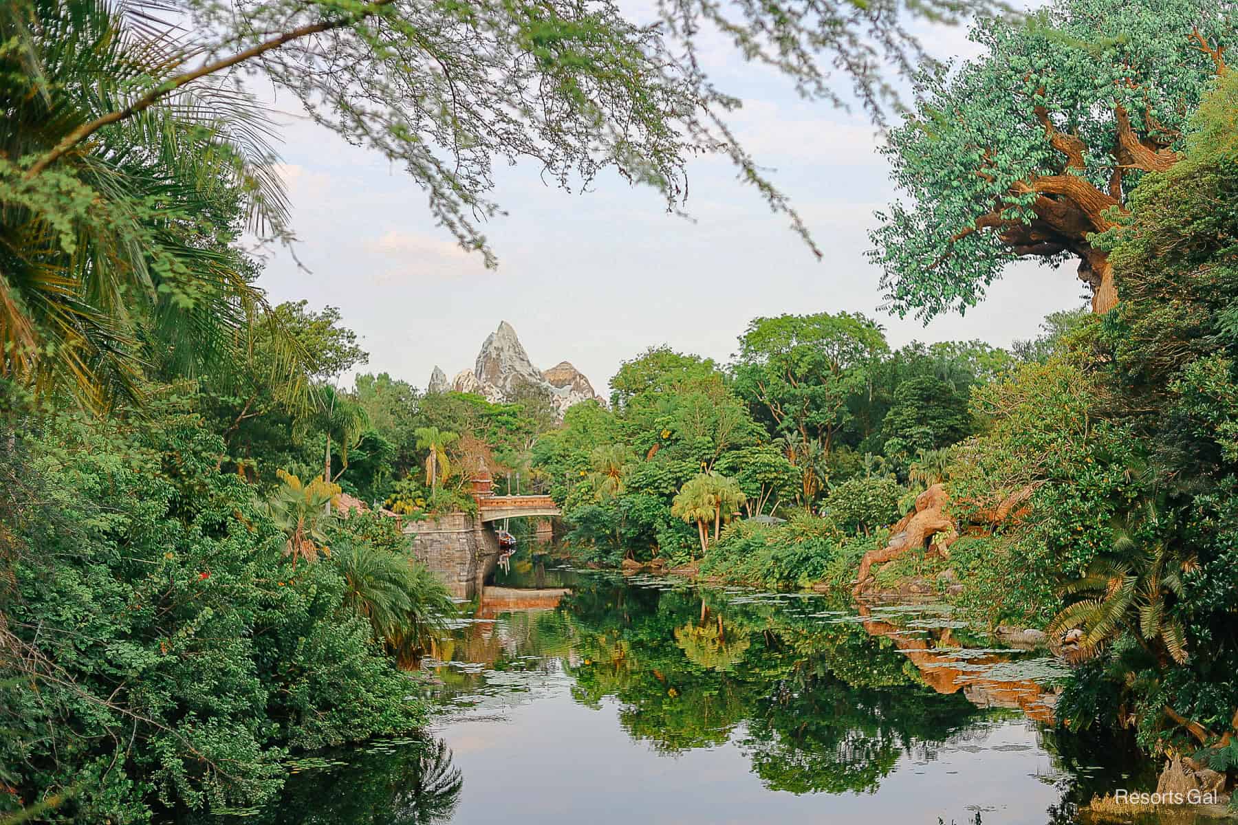 a view toward the Asia section of Disney's Animal Kingdom taken from the Africa bridge 