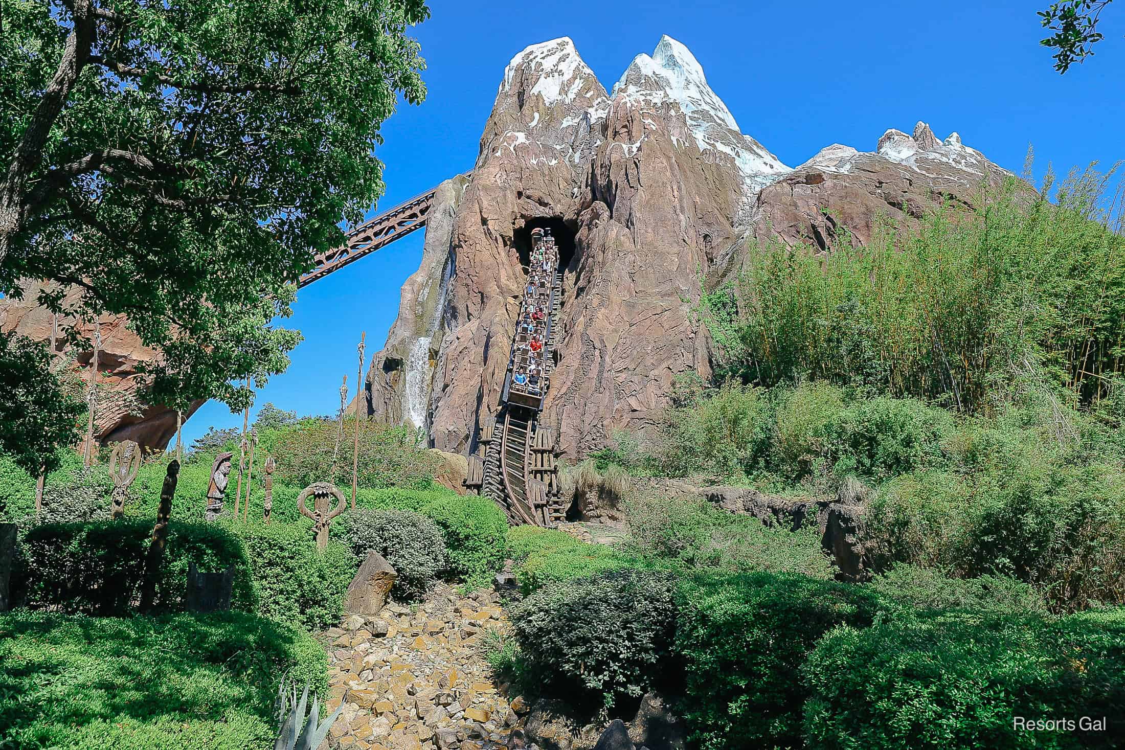 guests coming down the steep drop of Expedition Everest at Disney's Animal Kingdom 