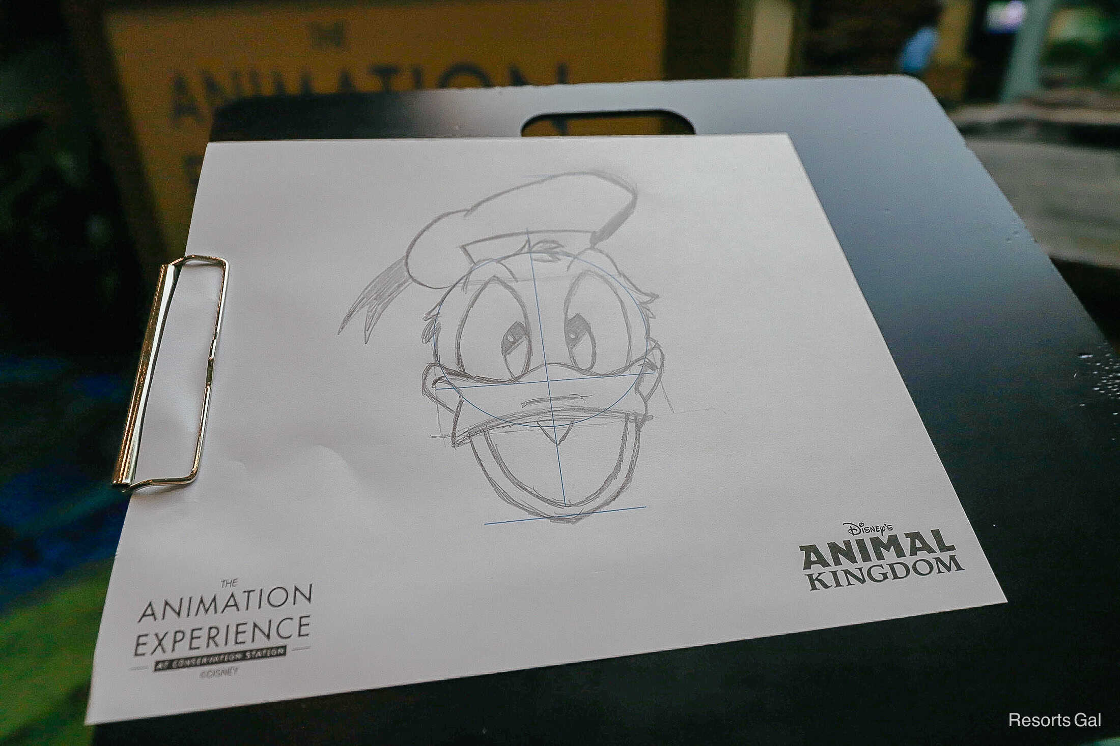 a sketch of Donald Duck drawn by a guest at the Animation Experience at Disney's Animal Kingdom 